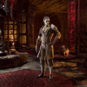 Elder Scrolls Online